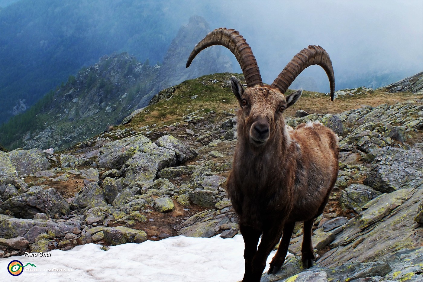 49 Io mi trattengo qui al rifugio.JPG